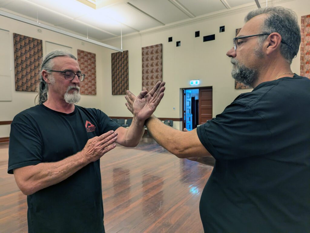 adult-wing-chun-kung-fu-class
