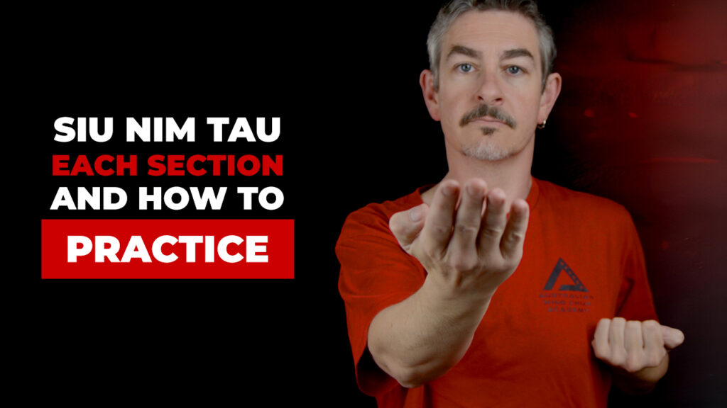 Siu Nim Tau (Sil Lim Tao) – Step by Step Wing Chun Form Practice